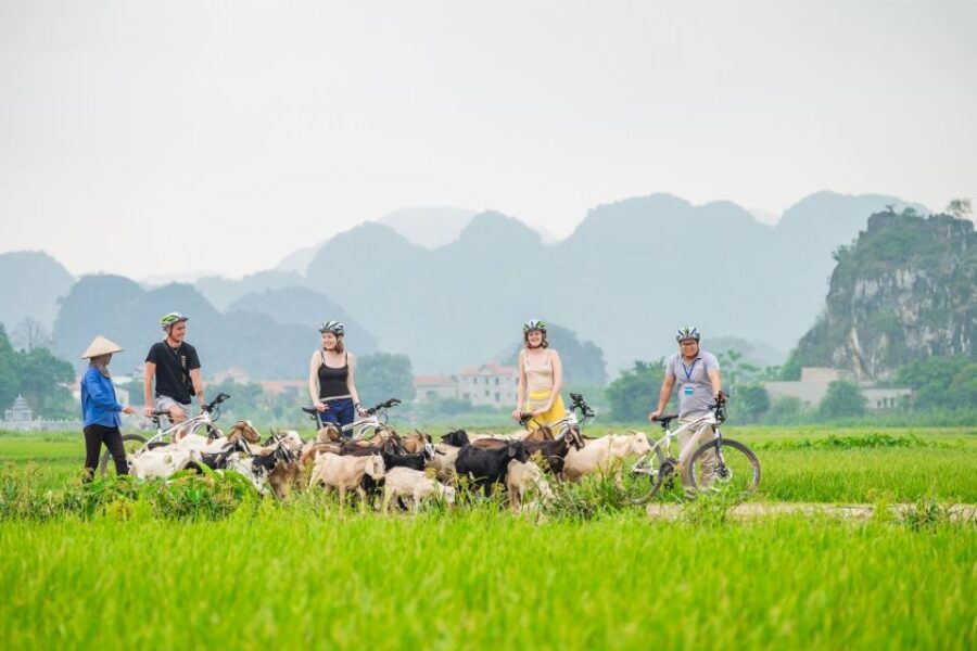 2 Day Exploring Ninh Binh With Bungalow Stay - Good To Know