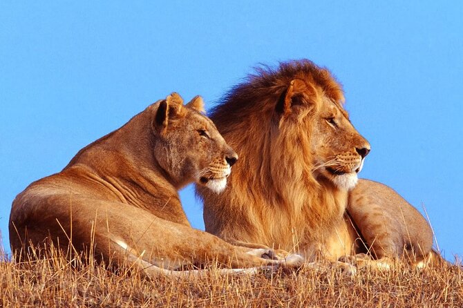 2 Day Hluhluwe Game Reserve & Isimangaliso Park From Durban