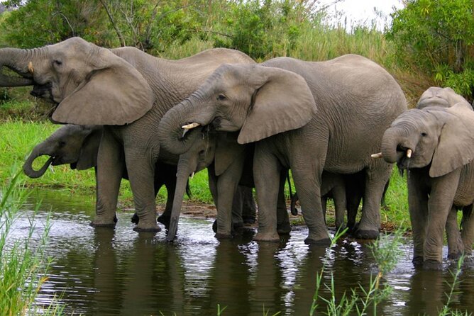 2-Day Hluhluwe Imfolozi and Isimangaliso Wetlands Tour Fro Durban