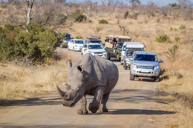 2 Day Kruger National Park Safari