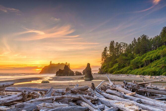 2-Day Mount Rainier & Olympic National Parks Tour From Seattle - Good To Know