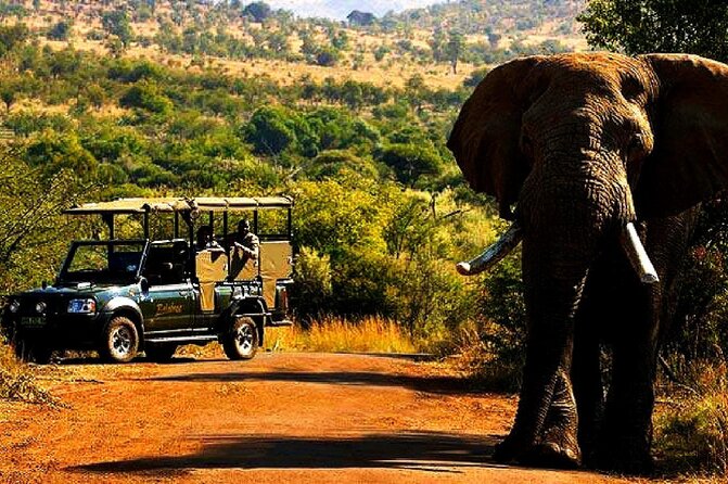 2 Day Private Pilanesberg Guided Tour