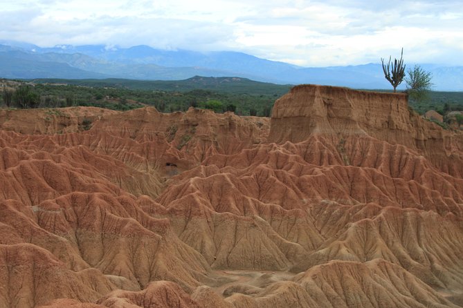 2-Day Private Tour to the Tatacoa Desert From Bogotá - Good To Know