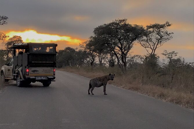 2-Day Safari Tour in Kruger National Park