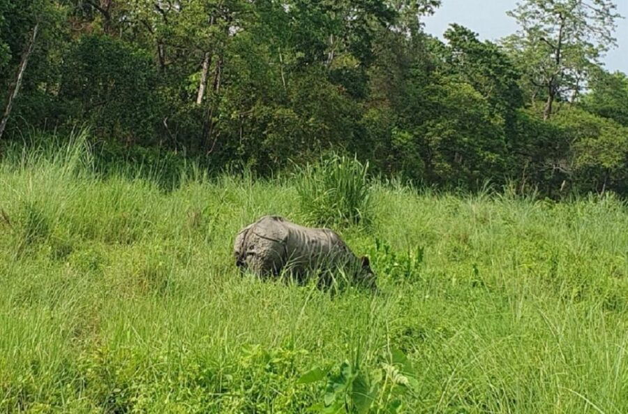 2 Day Tour in Chitwan - Good To Know
