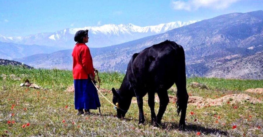 2 Day Trek in Atlas With Locals.. / Virgin Villages - Good To Know
