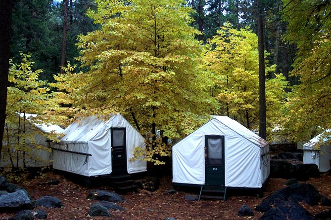 2-Day Yosemite National Park Winter Tour From San Francisco