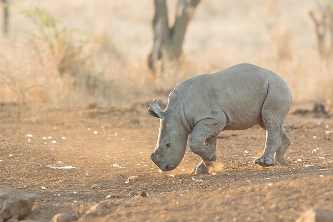 2 Day Zulu Safari Adventure From Durban