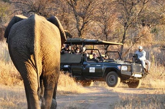 2 Days/ 1 Night - Dinokeng Safaris and Cullinan Tours - Good To Know