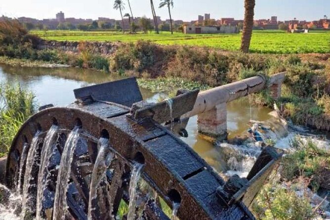 2 Days Camping Trip PRIVATE in Fayoum Oasis From Cairo - Good To Know