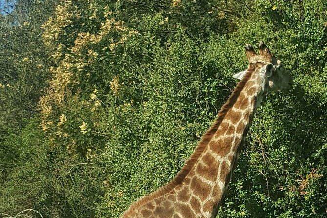 2 Days Garden Route Experience - Good To Know