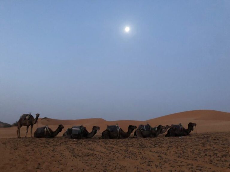 2 Days Marrakech to Zagora Desert Tour & Camel Trek