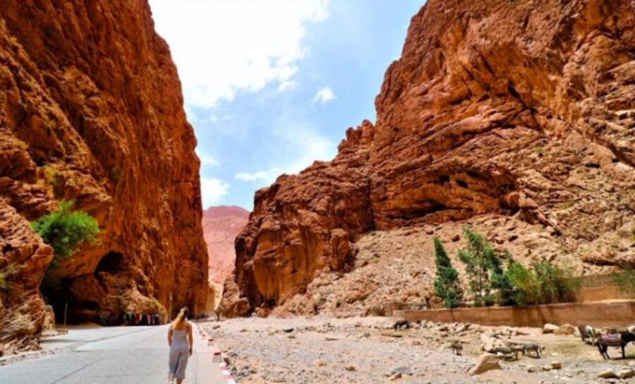 2 Days Trip From Marrakech To Ouarzazate & Dades Valley