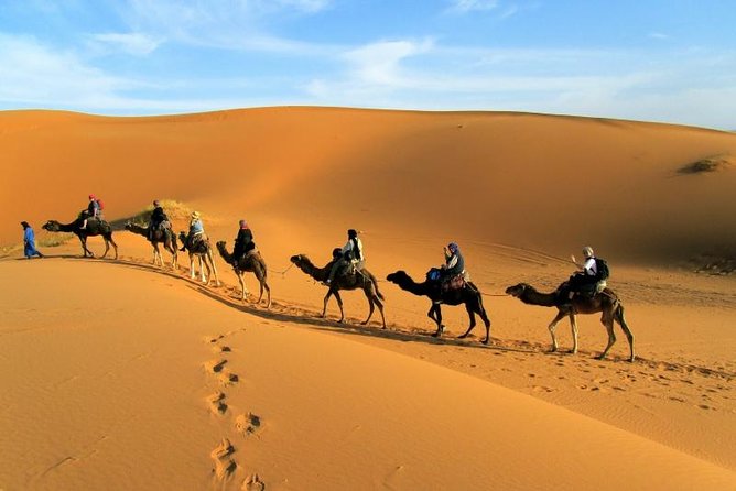 2 Days Zagora Desert Tour From Marrakech, Including Camel Trek and Desert Camp - Good To Know