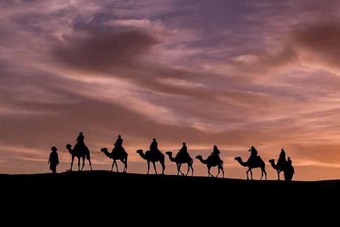 2-Days Zagora Desert Tour From Marrakech - Pricing and Guarantee