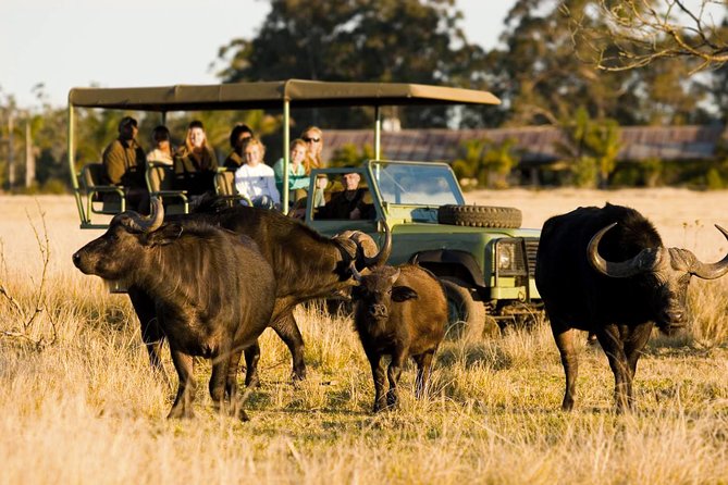 2 Best 2 Hour Tours and Experiences in Plettenberg Bay