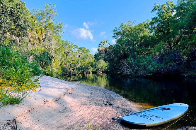 2 Hour Guided Stand up Paddle Board Tour Along Upper Manatee River - Good To Know