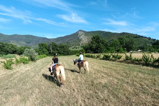2 Hour Horseback Ride for Experts in Valgraziosa (Pisa) - Good To Know