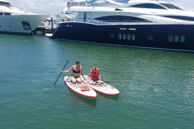 2-Hour Paddleboard Rental in Miami (Feb )