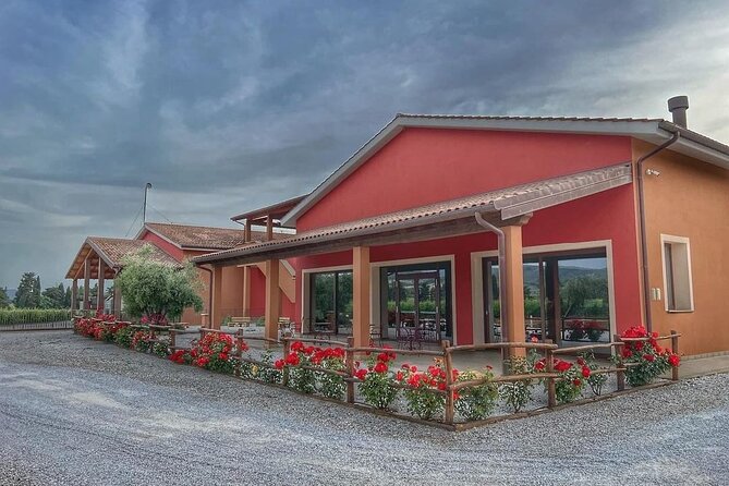 2-Hour Private Guided Tour With Tasting of Bolgheri DOCs
