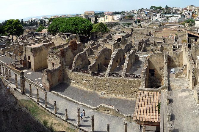 2-Hour Private Tour of the Ruins of Herculaneum