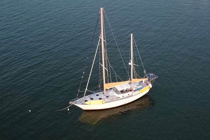 2 Best 2 Hour Tours and Experiences in St John