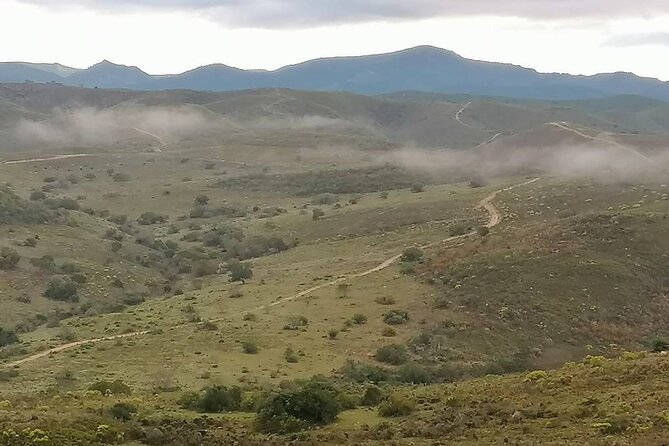 2 Best Safari Tours In Eastern Cape