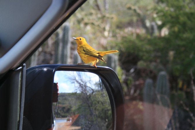 2-Hour South of Bonaire Tour With Hotel Pickup