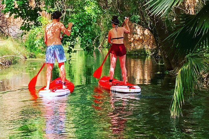 2 Hours and a Half Sup Tour in the Ciane Reserve in Syracuse