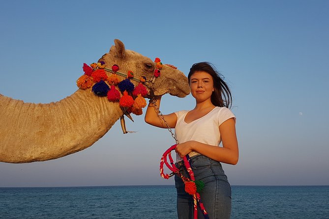 2 Hours Camel Riding at Amazing Desert & Sea With Transfer - Hurghada