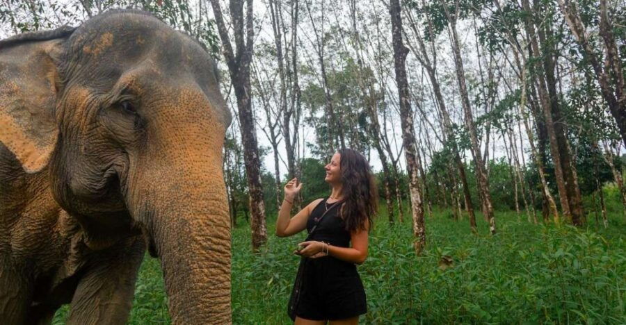 2 Hours-Early Bird Guide Tour in Khao Lak Elephant Sanctuary - Good To Know