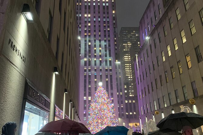 2 Hours Private Guided Elf Sites Tour in New York City