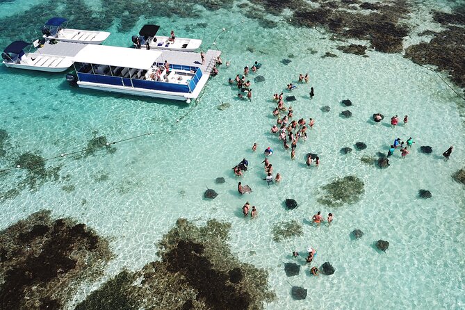 2-Hours Stingray City Experience in Antigua - Good To Know