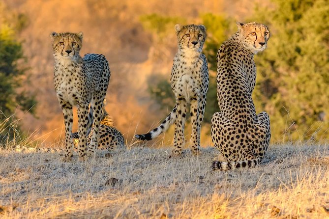 2 Night 3 Day Kruger via Panorama Safari Package