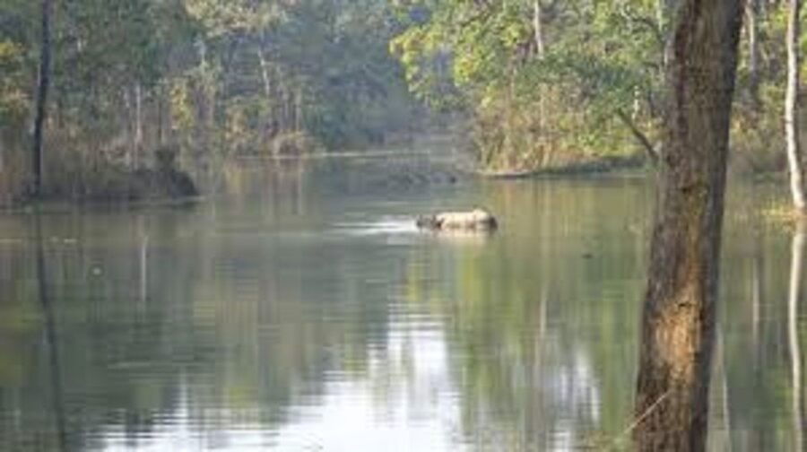 2 Night 3 Days Chitwan National Park Tour From Kathmandu