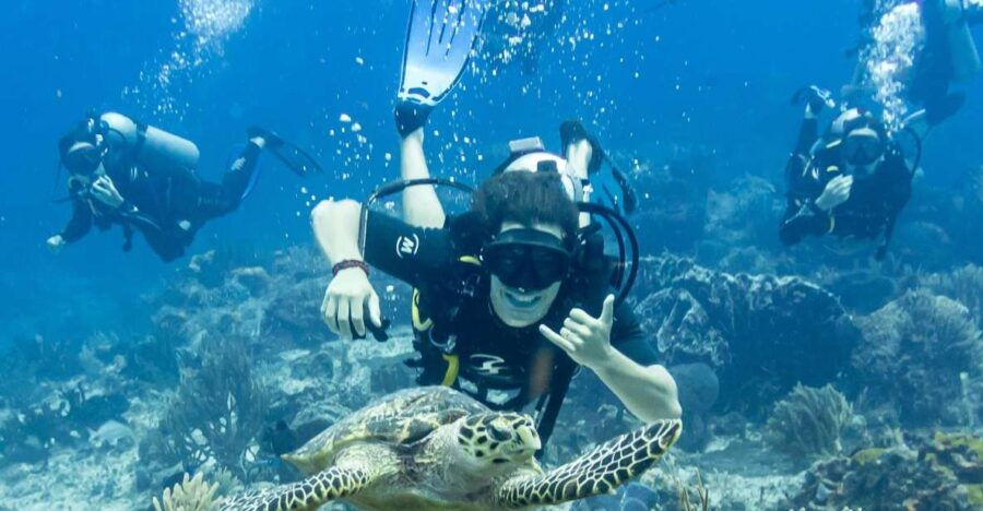 2 Tank Dive in Cozumel’s Marine National Park