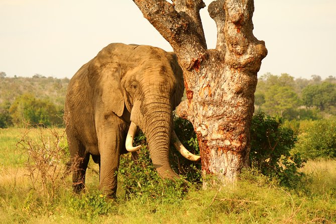 20-Day South Africa, Lesotho & Eswatini Explorer (Adventure Camping Tour)