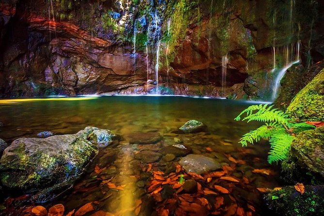 25 Fountains” Walk / Lost In The Beautiful Forest