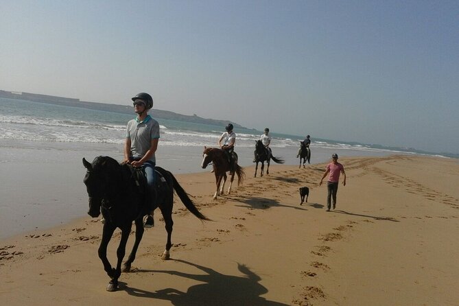 1 Day Horseback Ride With Lunch - Additional Information
