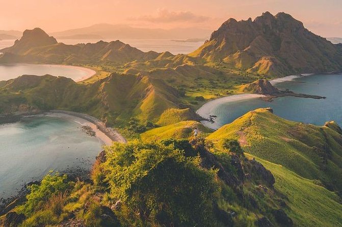 1 Day Komodo Trip By Shared Luxury Fast Boat - Good To Know