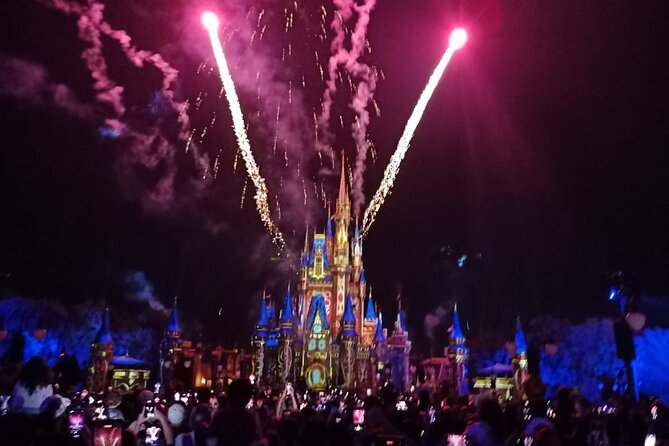 1 Day Private Advisor for Walt Disney World and Universal - Booking Process