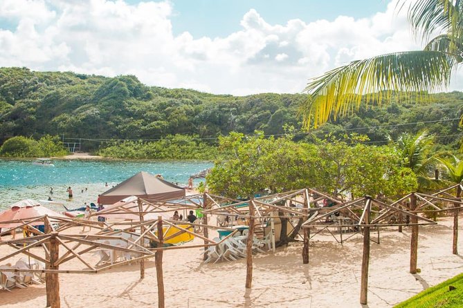 1 Day Tour to the South Coast With Lagoa / RN - Departing From Natal / RN - Inclusions