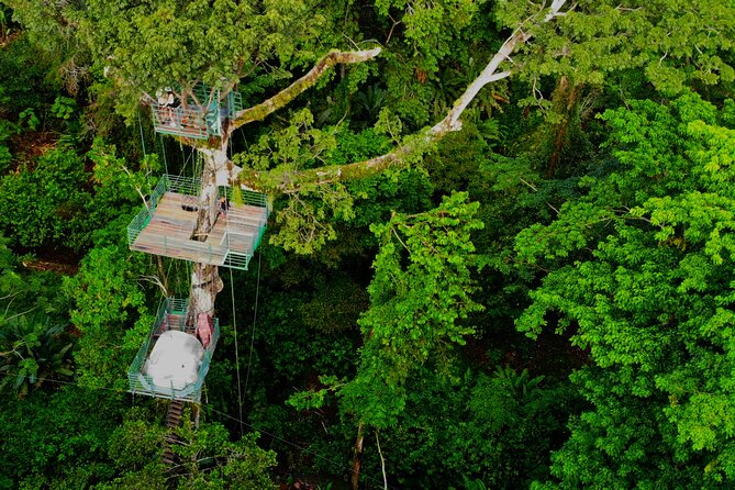 1 Day Tree Climbing and Rappelling Experience With Accommodation - Accommodation Details