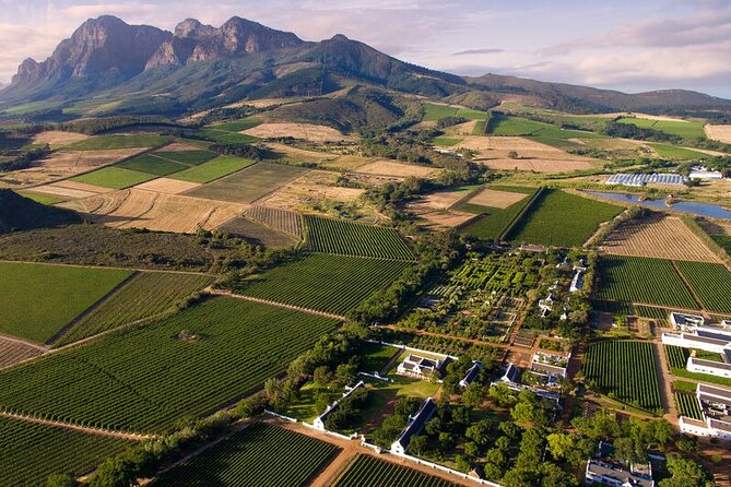 1 Day Winelands Explore of Stellenbosch Franschhoek Paarl Regions - Tour Highlights and Positive Reviews