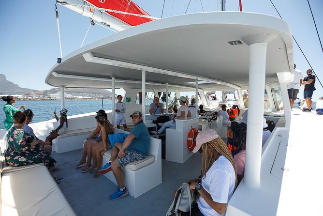 1- Hour Catamaran Cruise Cape Town - Pricing and Booking Information