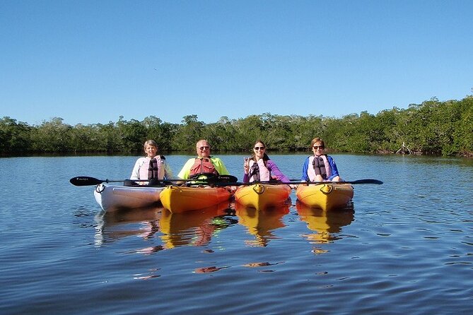 1 Hour Guided SUP/Kayak Tour in Pelican Bay at Fort Myers Beach - Tour Details