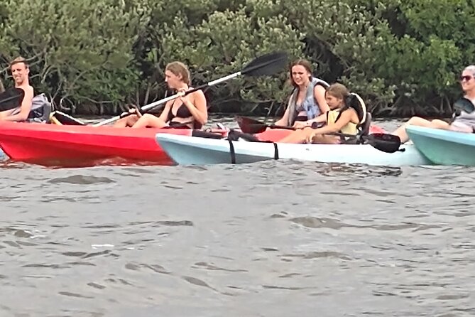 1-Hour Single Kayak Rental With Manatee & Dolphin Sightings - Whats Included