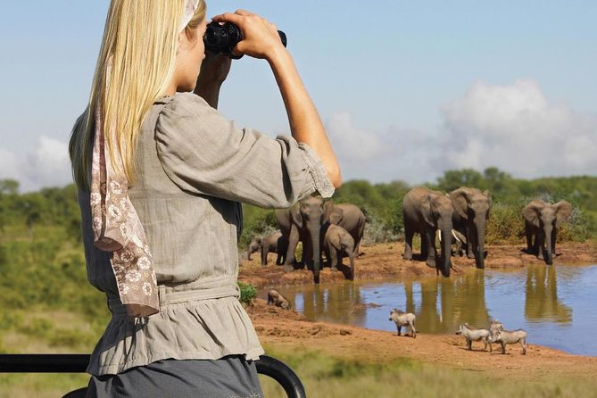 10 Day Cape Town Complete Combo Including Garden Route Guided Small Group Tour - Pickup and Meeting Information
