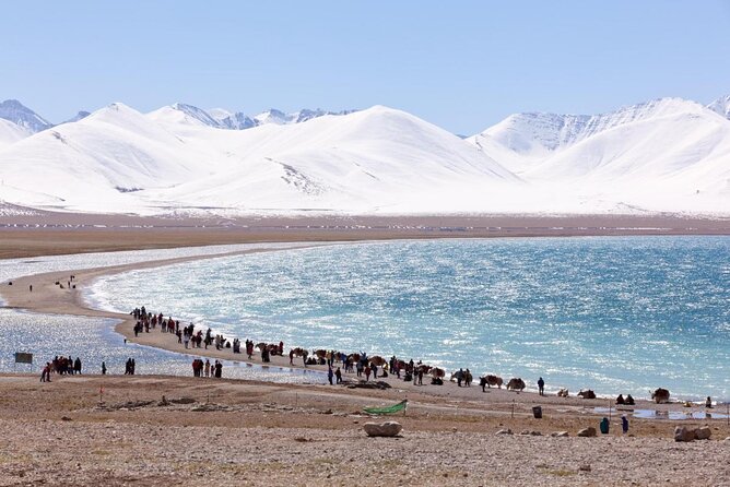 10 Days Tibet Everest Base Camp and Namtso Small Group Tour - Inclusions