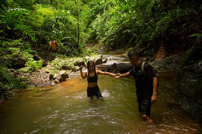 10 Hidden Waterfalls With Local Cuisine - Immersive Plant Life Discovery